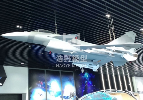 中國殲15戰(zhàn)斗機展廳模型